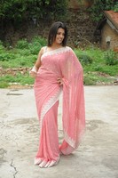 Tashu Kaushik Saree Photos